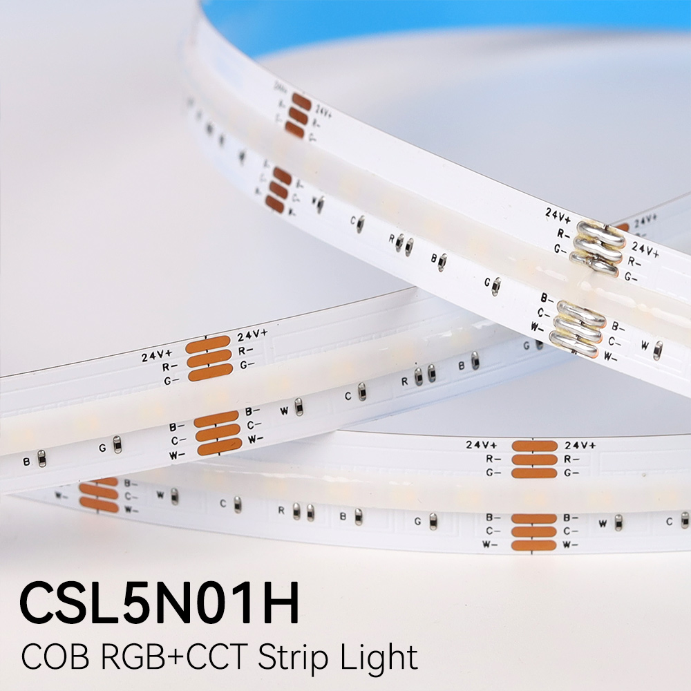 CSL5N01H